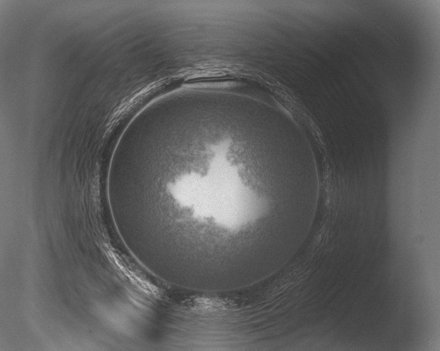 X0000086000442200703231149