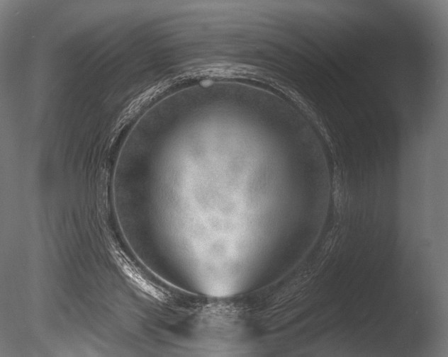 X0000086000445200703231149