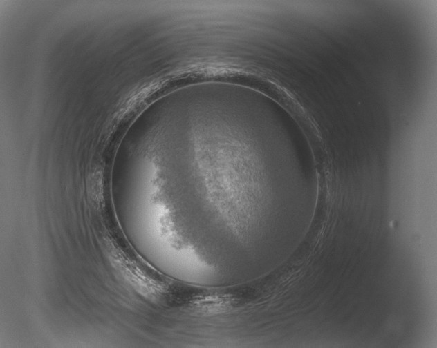 X0000086000447200703231149