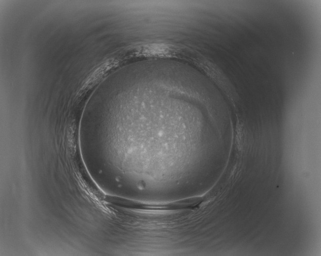 X0000086000449200703231149