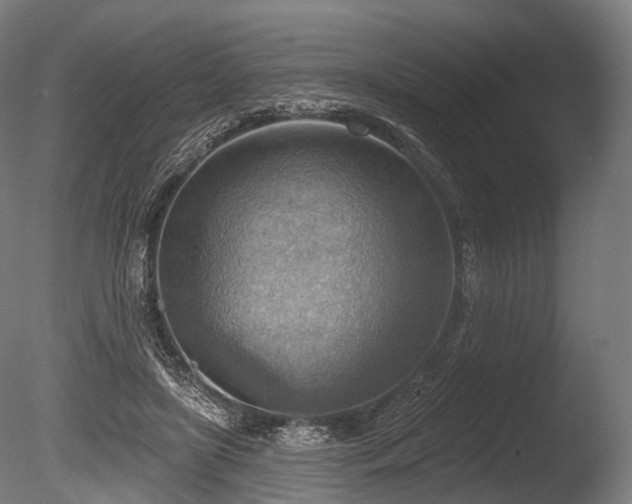 X0000086000451200703231149