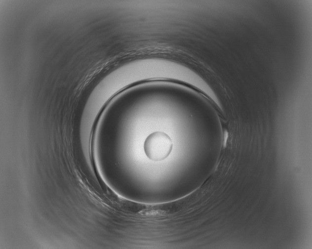 X0000086000452200703231149