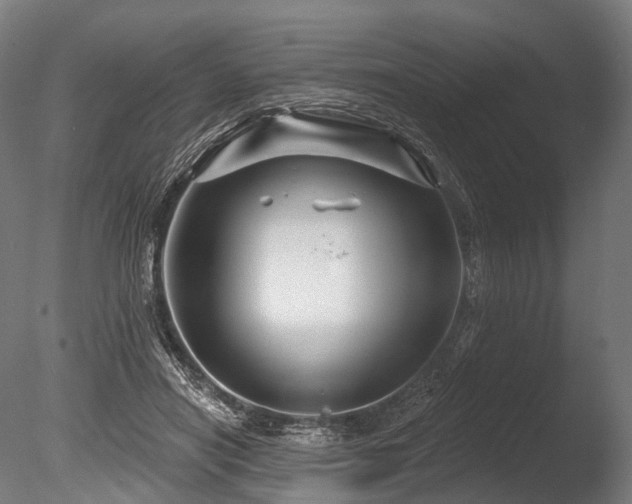 X0000086000454200703231149