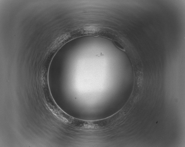 X0000086000455200703231149