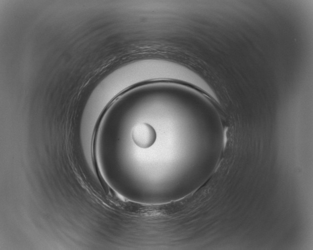 X0000086000456200703231149