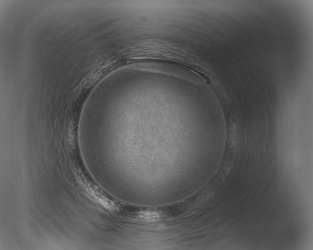 X0000086000457200703231149