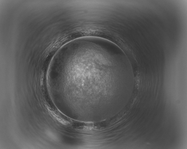 X0000086000458200703231149