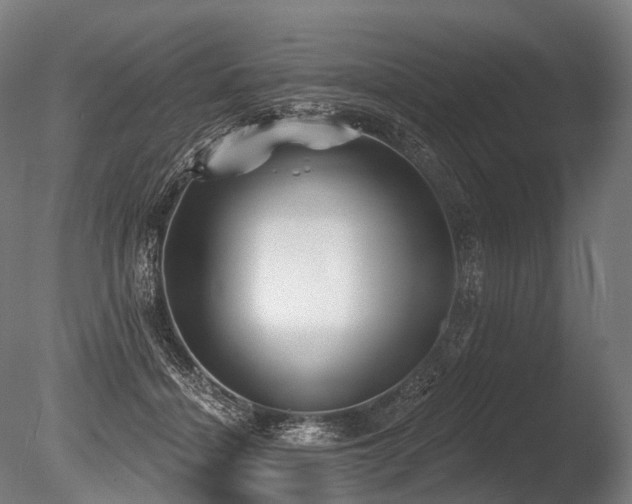 X0000086000460200703231149