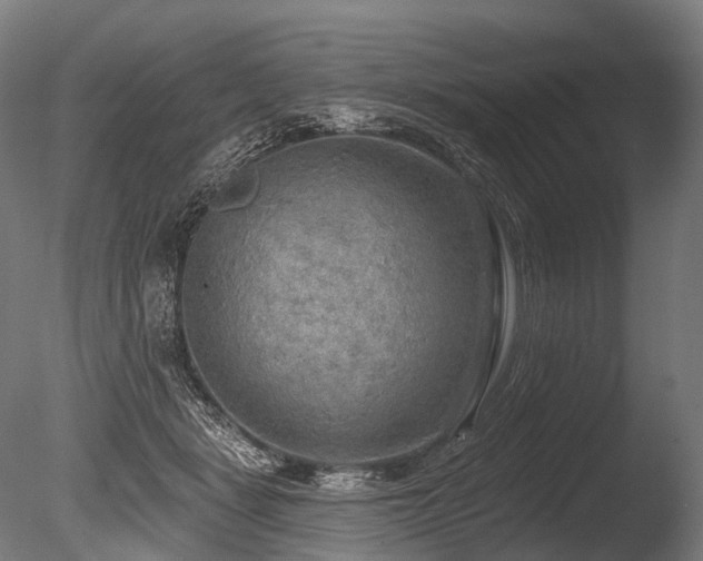 X0000086000461200703231149