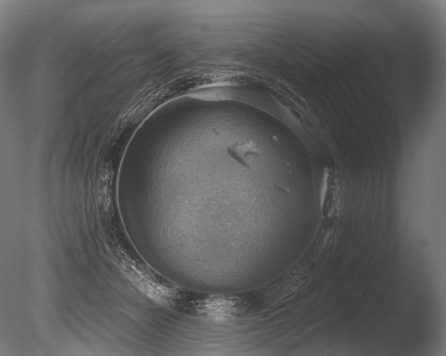 X0000086000462200703231150