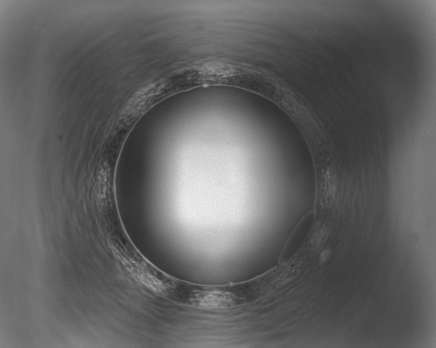 X0000086000463200703231150