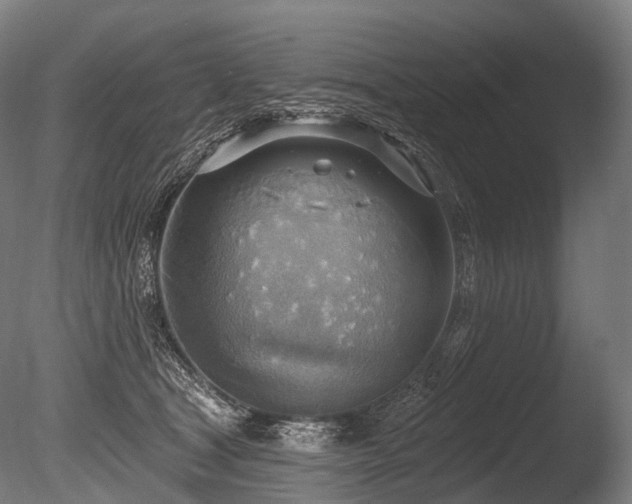 X0000086000465200703231150