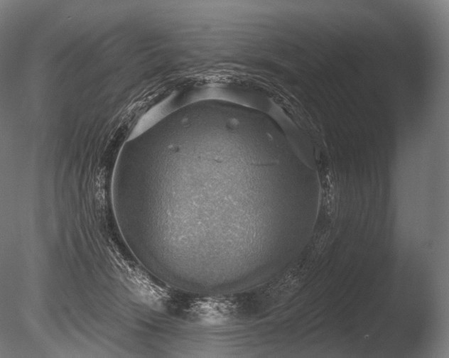 X0000086000466200703231150