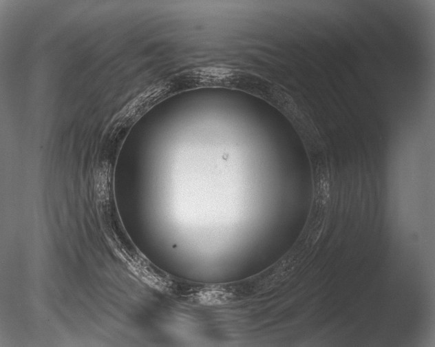 X0000086000468200703231150