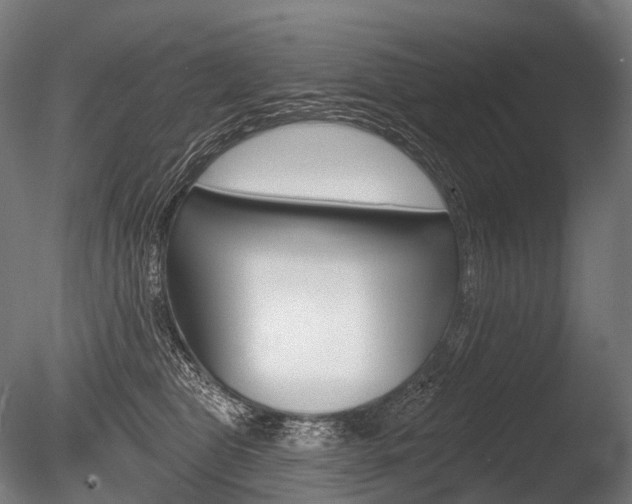 X0000086000469200703231150