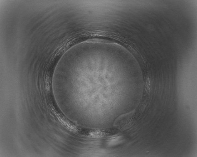 X0000086000470200703231150