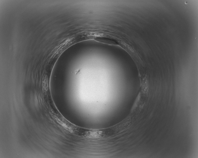 X0000086000474200703231150