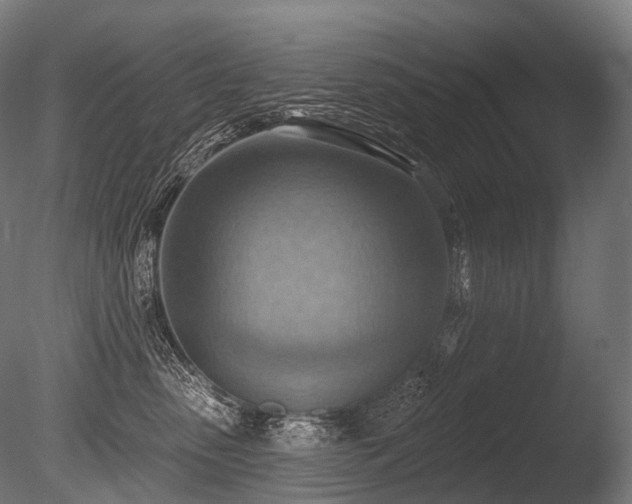 X0000086000475200703231150