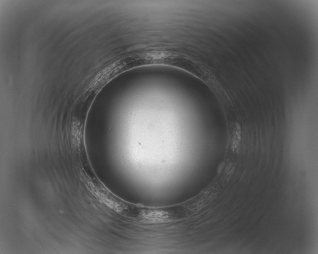 X0000086000476200703231150