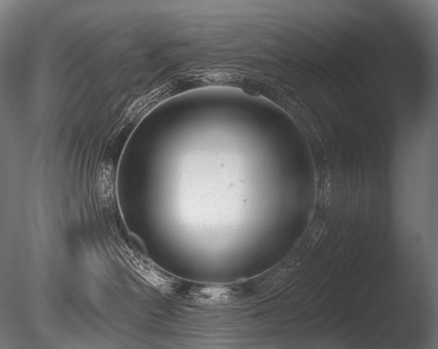 X0000086000478200703231150