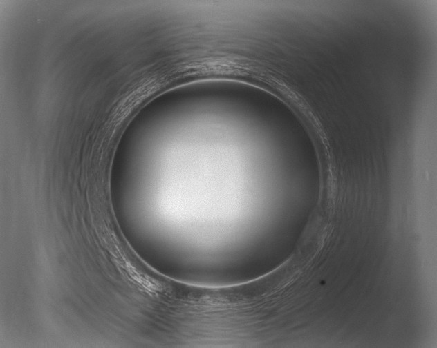 X0000086000481200703231149