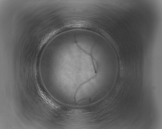 X0000086000482200703231149