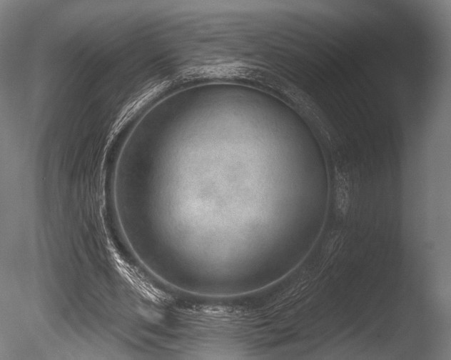 X0000086000486200703231149