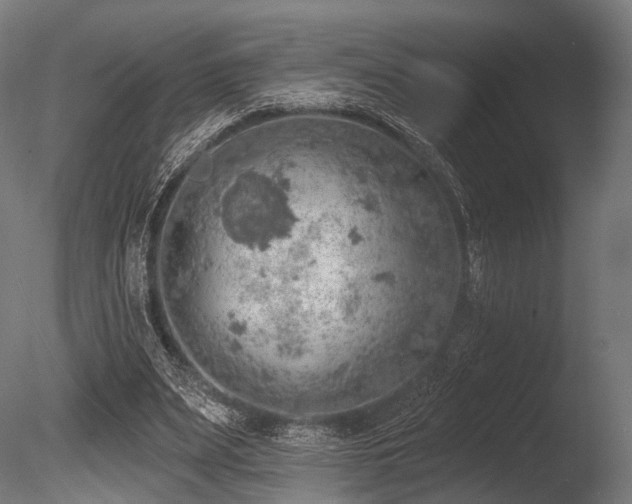 X0000086000487200703231149