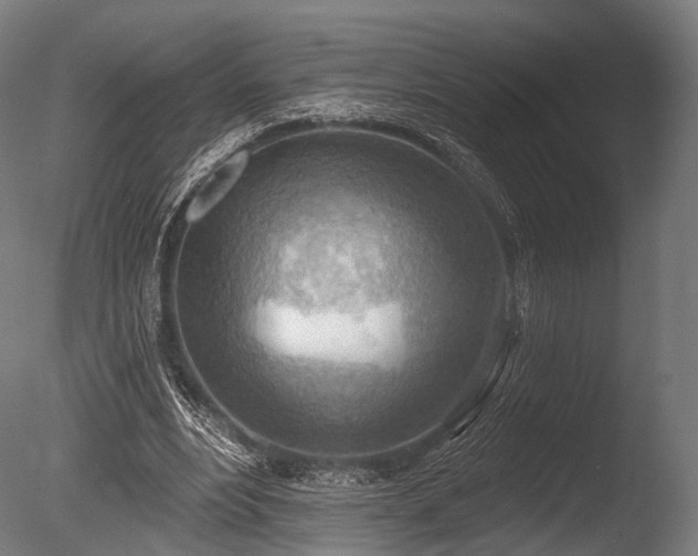 X0000086000488200703231149