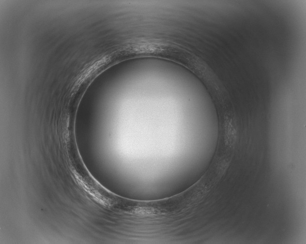 X0000086000490200703231149