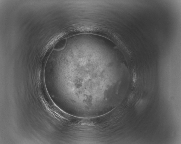 X0000086000491200703231149