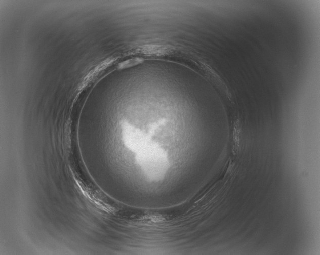 X0000086000492200703231149