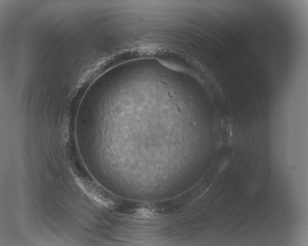 X0000086000496200703231149