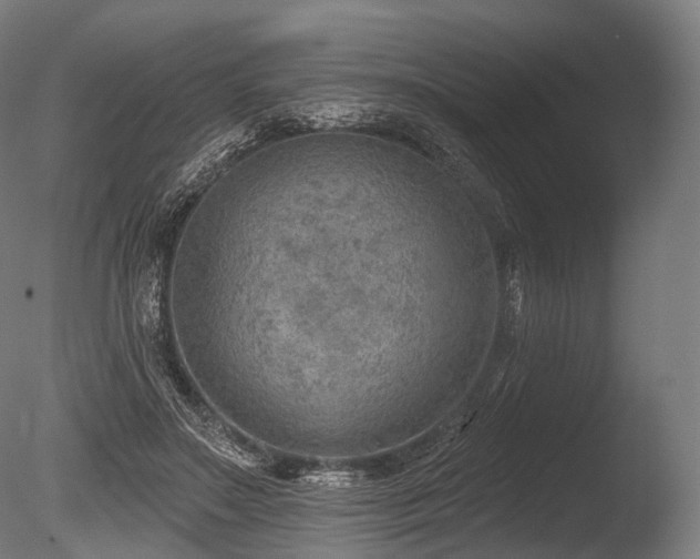 X0000086000499200703231149