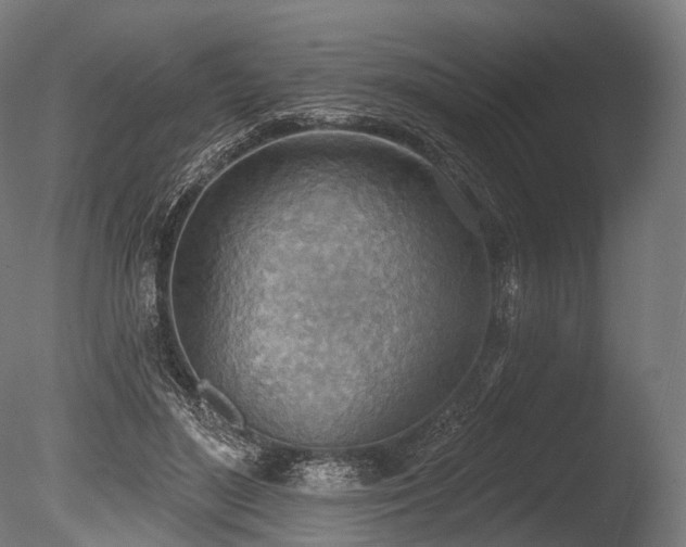 X0000086000500200703231149