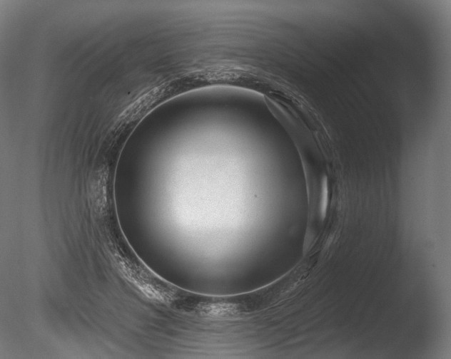 X0000086000501200703231149