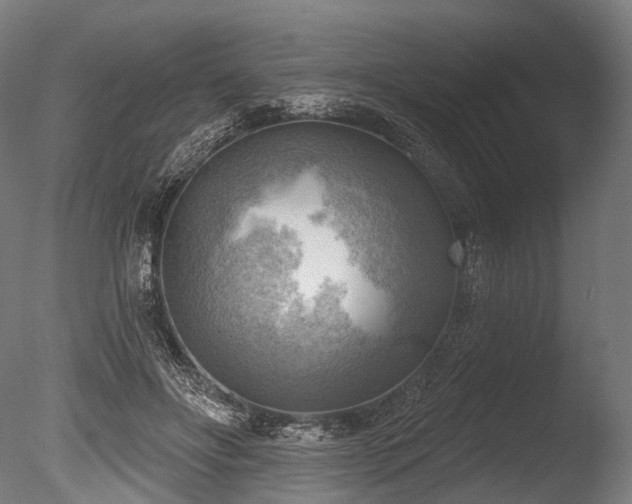 X0000086000502200703231149