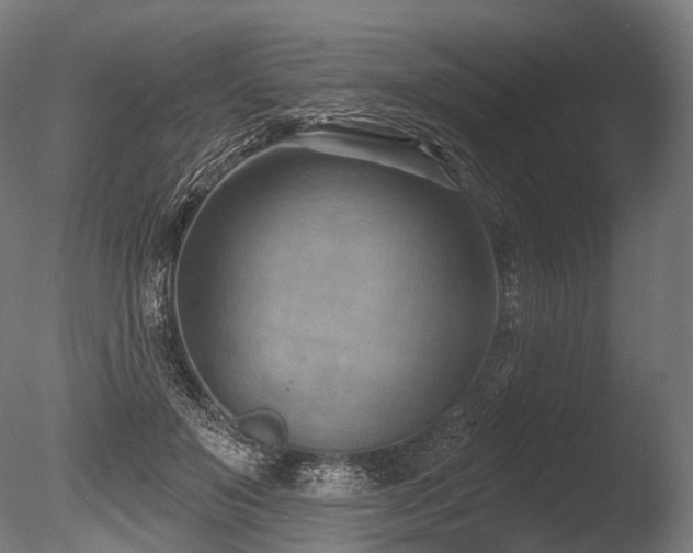 X0000086000503200703231149