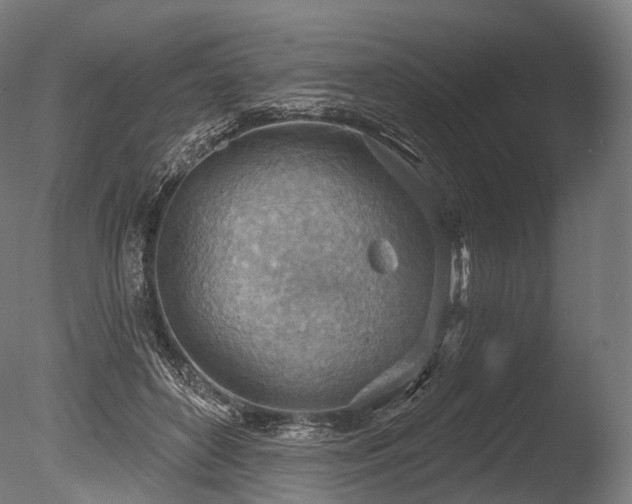 X0000086000504200703231149