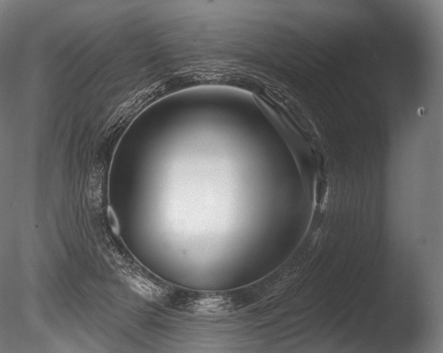 X0000086000505200703231149