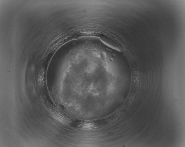 X0000086000507200703231149