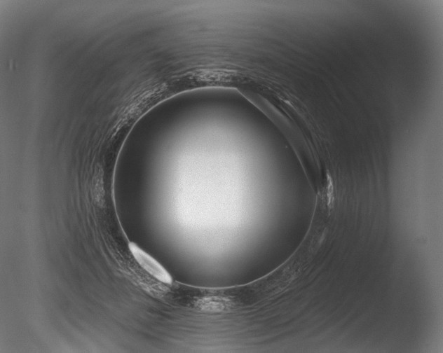 X0000086000508200703231149