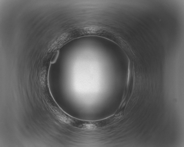 X0000086000509200703231148