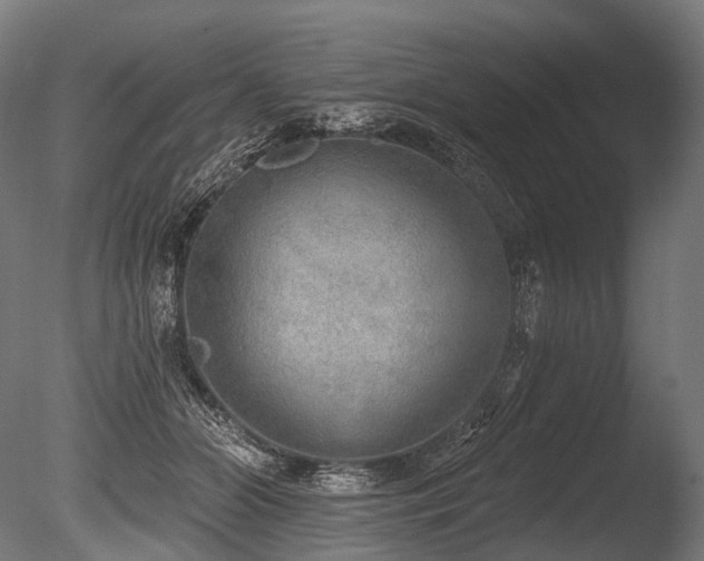 X0000086000510200703231148