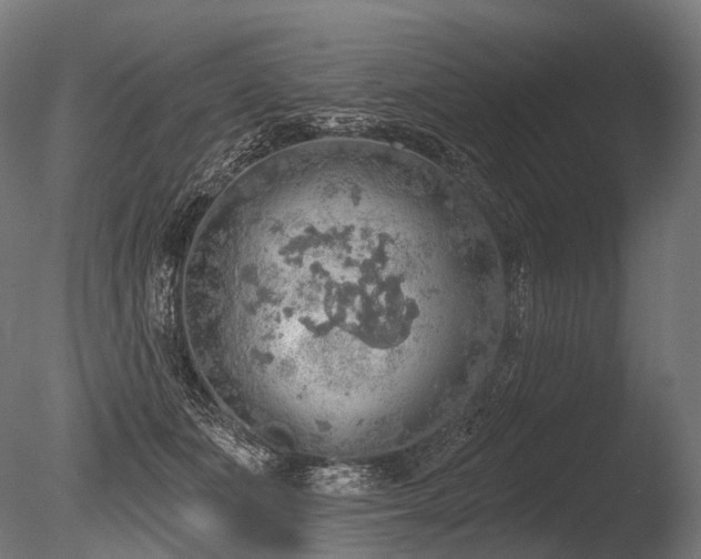 X0000086000511200703231148