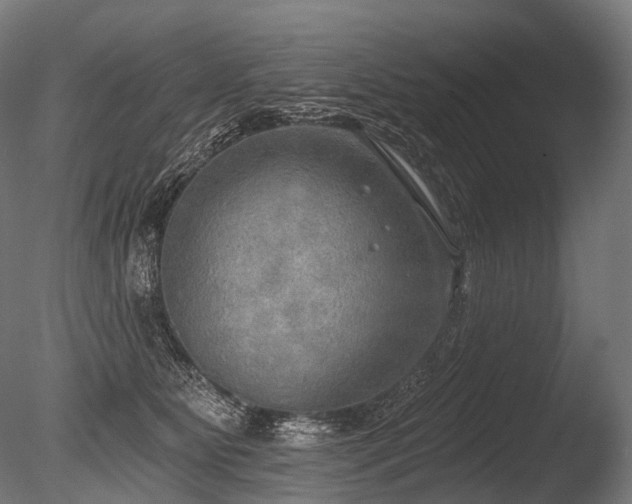 X0000086000515200703231148