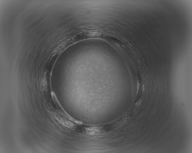 X0000086000516200703231148