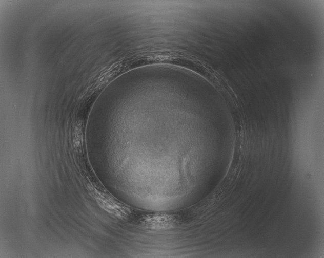 X0000086000517200703231148