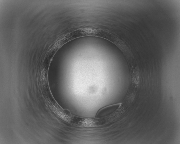 X0000086000518200703231148