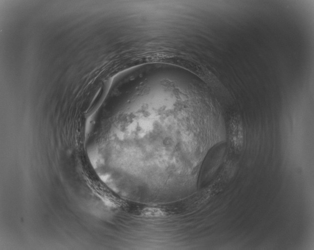 X0000086000519200703231148